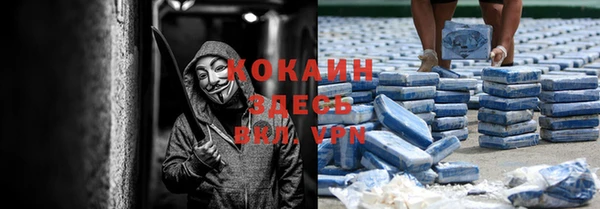 стафф Верея