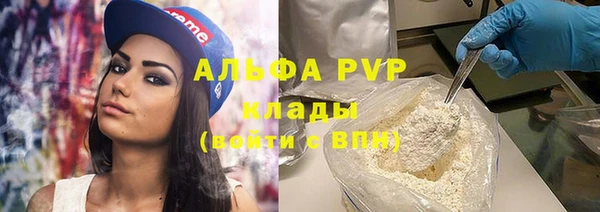 прущие грибы Сосновый Бор