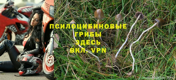 стафф Верея