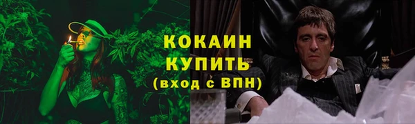 PSILOCYBIN Сосновка